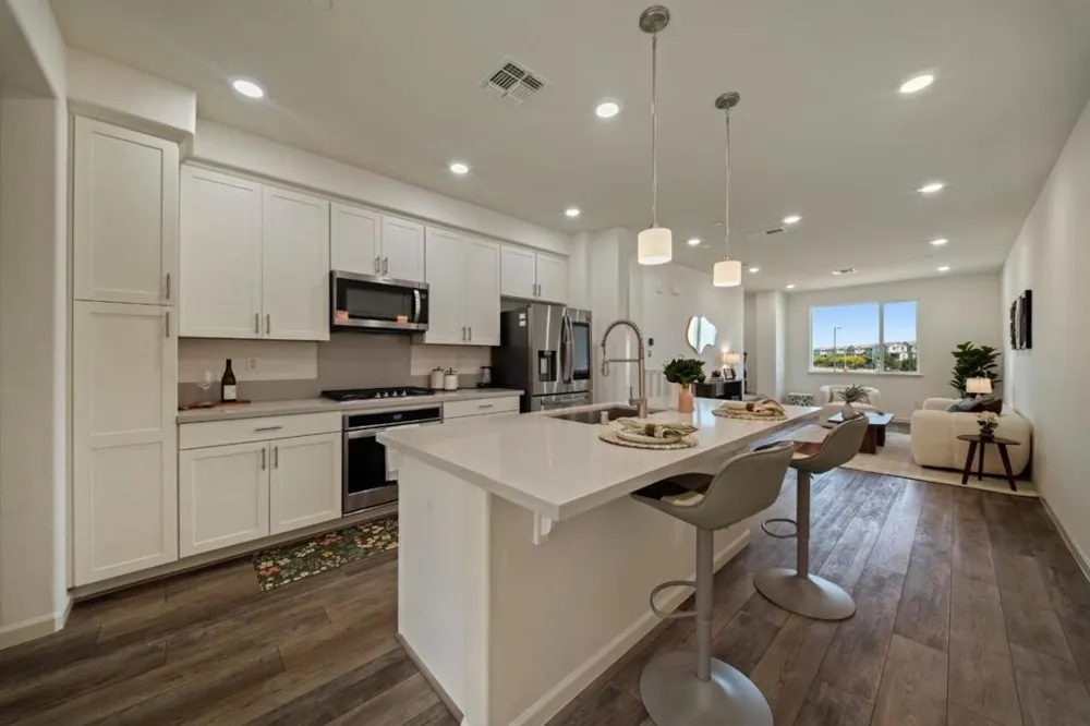 493 Snap Dragon Street Milpitas, CA 95035