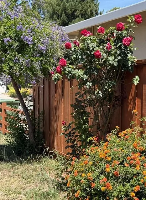 523 Hickory Place Santa Clara, CA 95051
