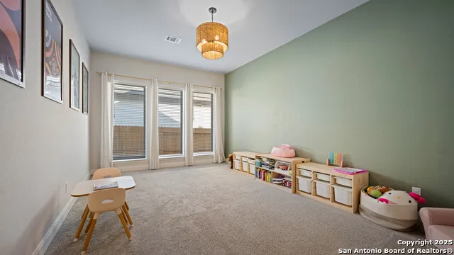 1925 Luna New Braunfels, TX 78132