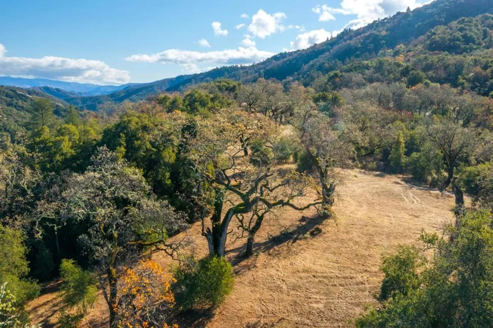 37 Arroyo Sequoia (Lot 113) Carmel, CA 93923