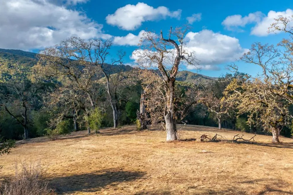 37 Arroyo Sequoia (Lot 113) Carmel, CA 93923