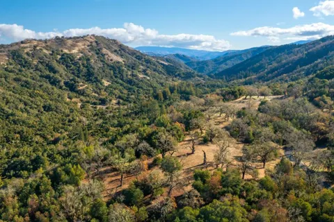 37 Arroyo Sequoia (Lot 113)