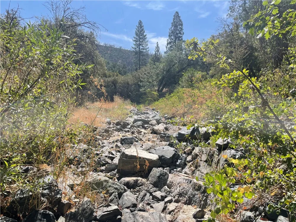 6246 Highway 140 Midpines, CA 95345