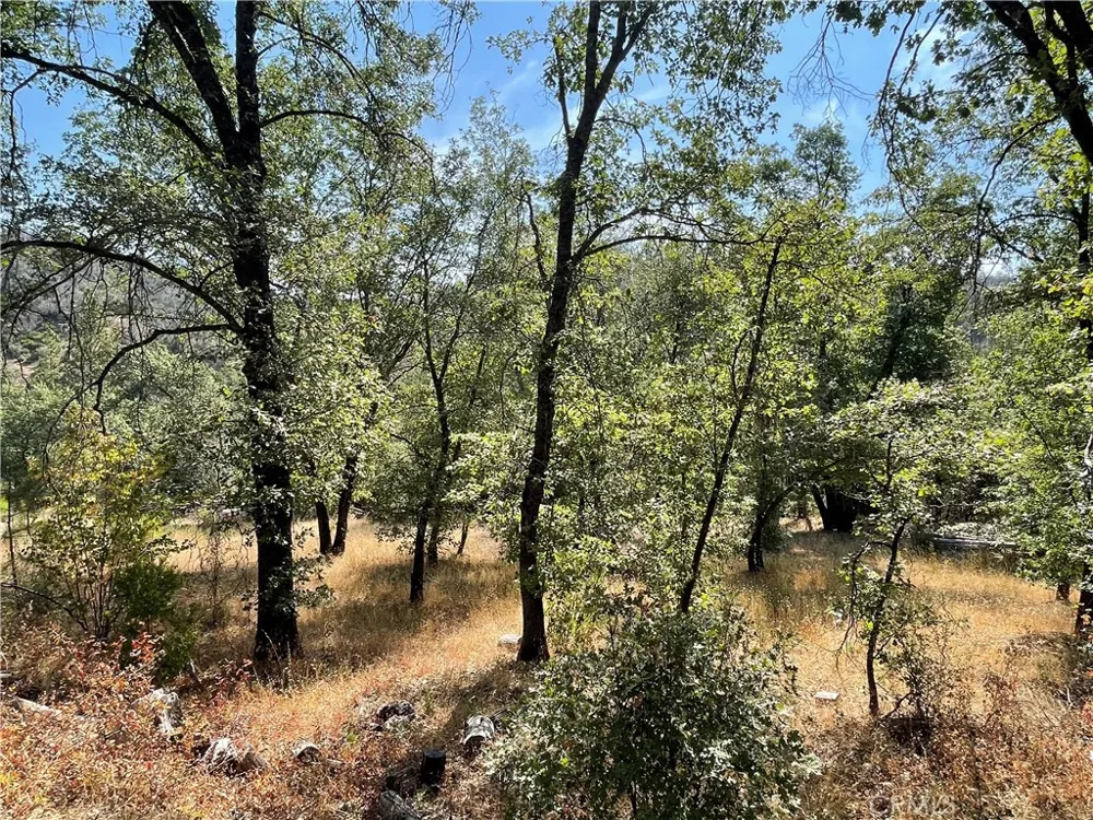 6246 Highway 140 Midpines, CA 95345