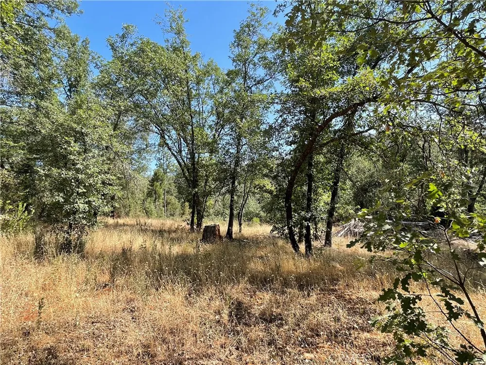 6246 Highway 140 Midpines, CA 95345