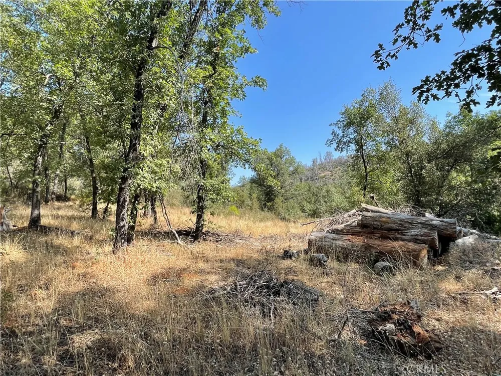 6246 Highway 140 Midpines, CA 95345