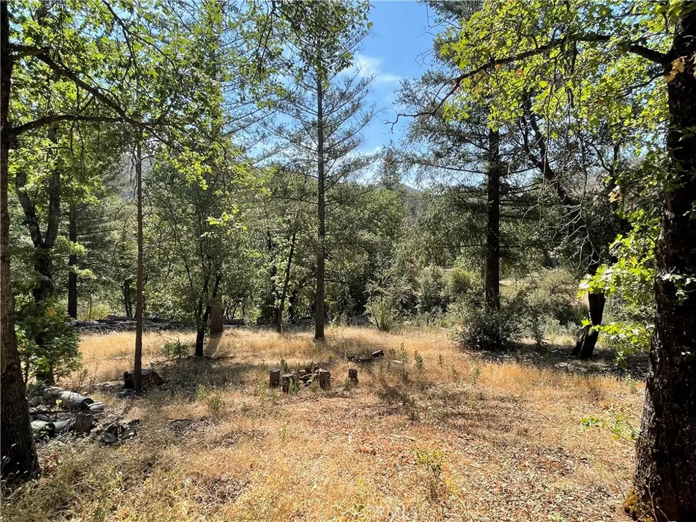 6246 Highway 140 Midpines, CA 95345