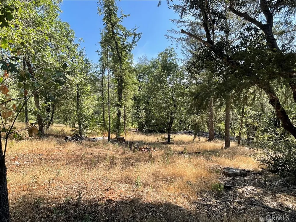 6246 Highway 140 Midpines, CA 95345