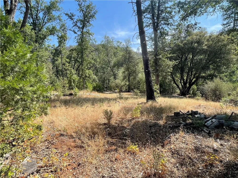 6246 Highway 140 Midpines, CA 95345