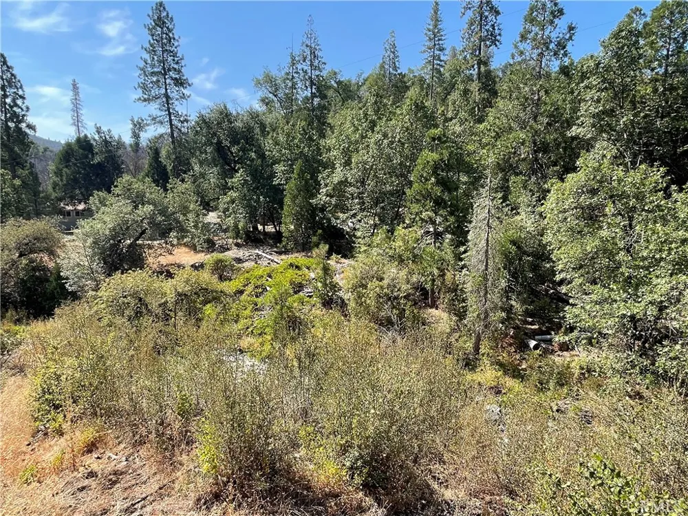 6246 Highway 140 Midpines, CA 95345