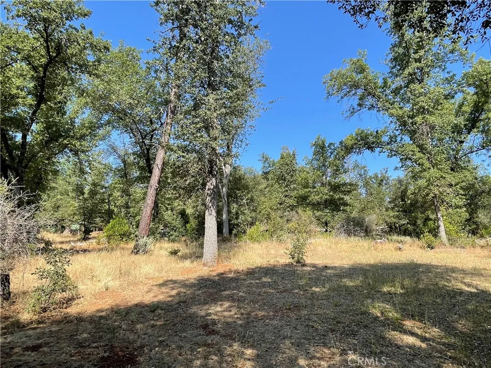 6246 Highway 140 Midpines, CA 95345