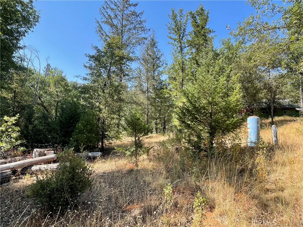 6246 Highway 140 Midpines, CA 95345