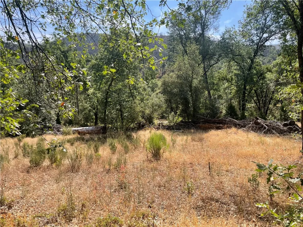 6246 Highway 140 Midpines, CA 95345