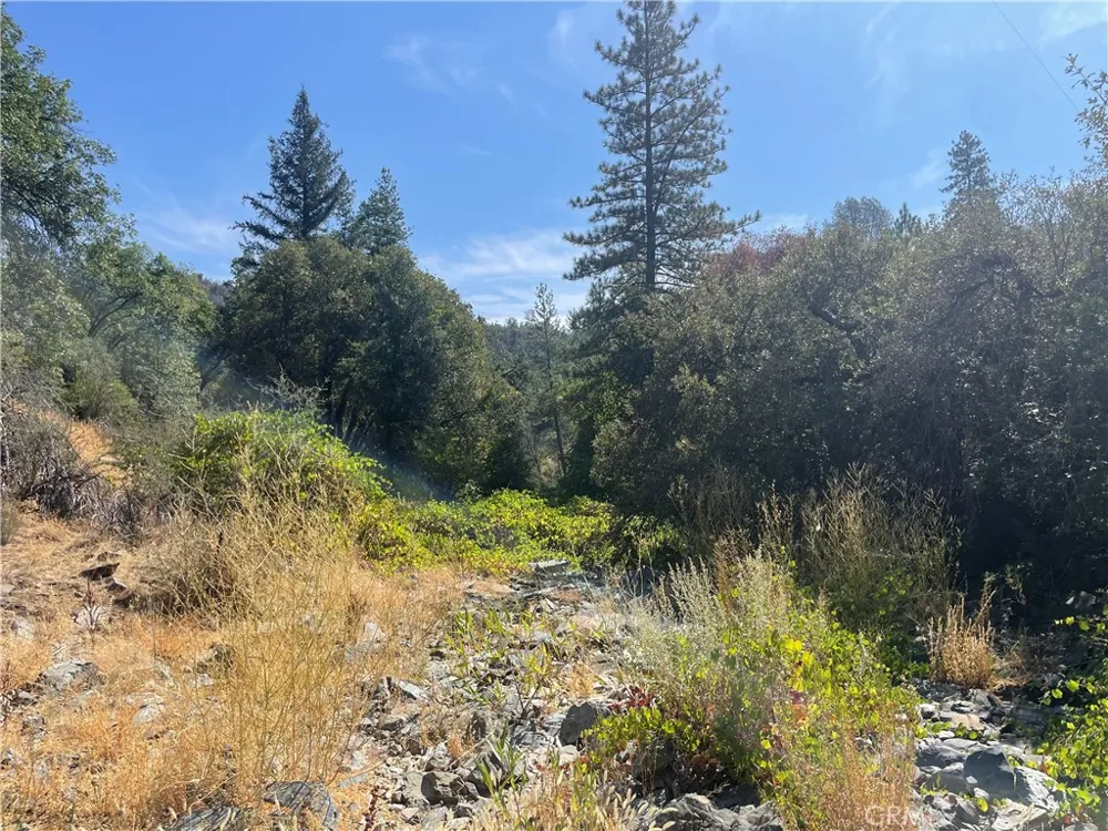6246 Highway 140 Midpines, CA 95345