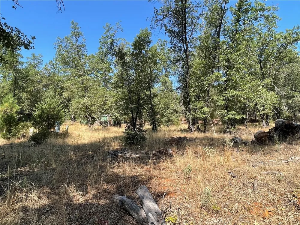 6246 Highway 140 Midpines, CA 95345