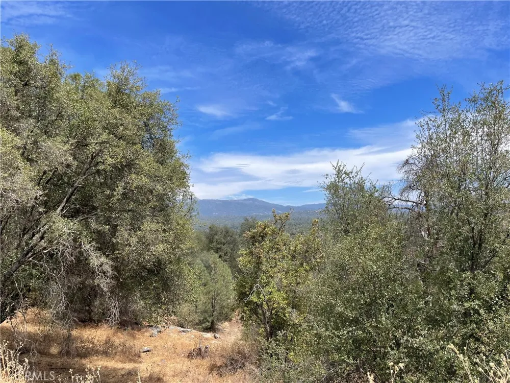 4856 Indian Peak Mariposa, CA 95338