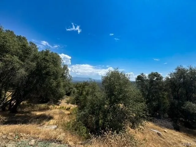 4856 Indian Peak Mariposa, CA 95338