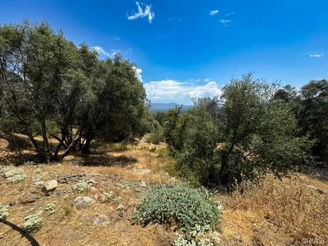 4856 Indian Peak Mariposa, CA 95338
