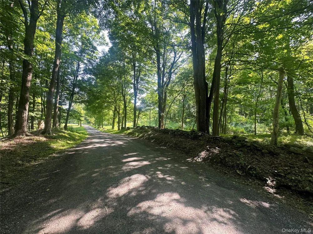 Address Not Shown Tivoli, NY 12583