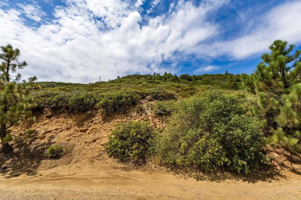 Manzanita Drive Julian, CA 92036