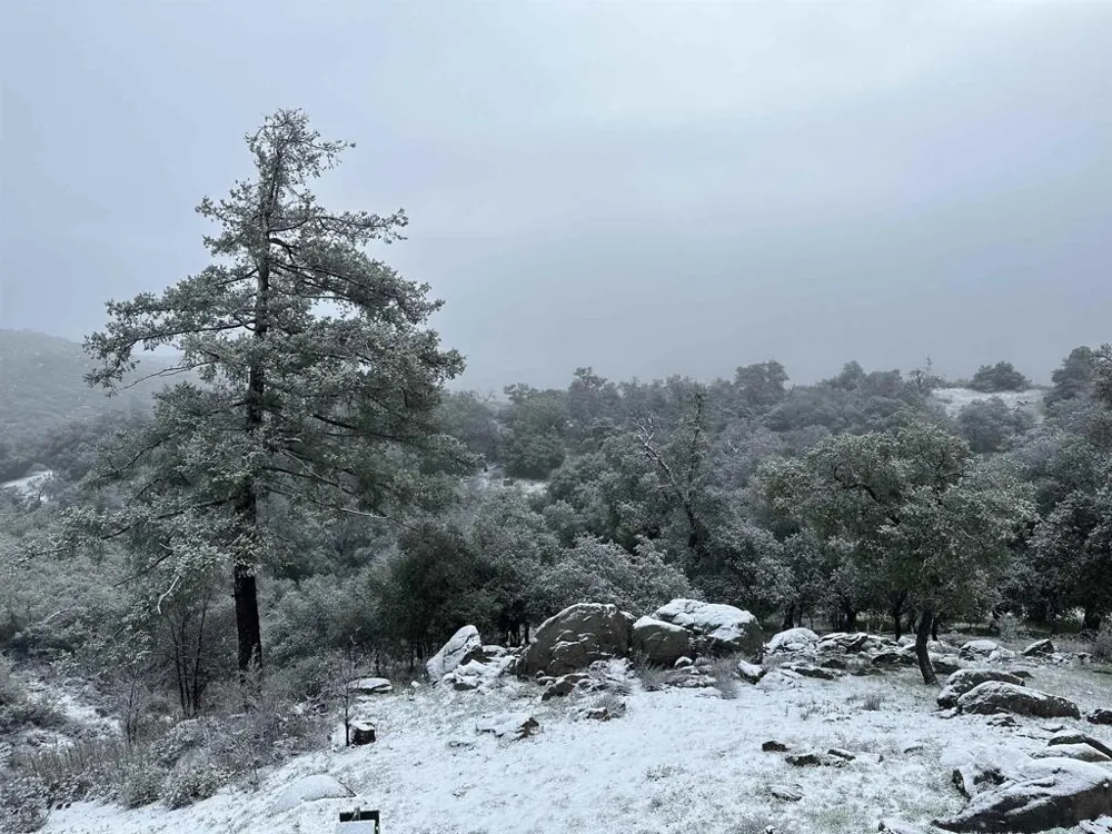 25770 E GRADE ROAD Santa Ysabel, CA 92070