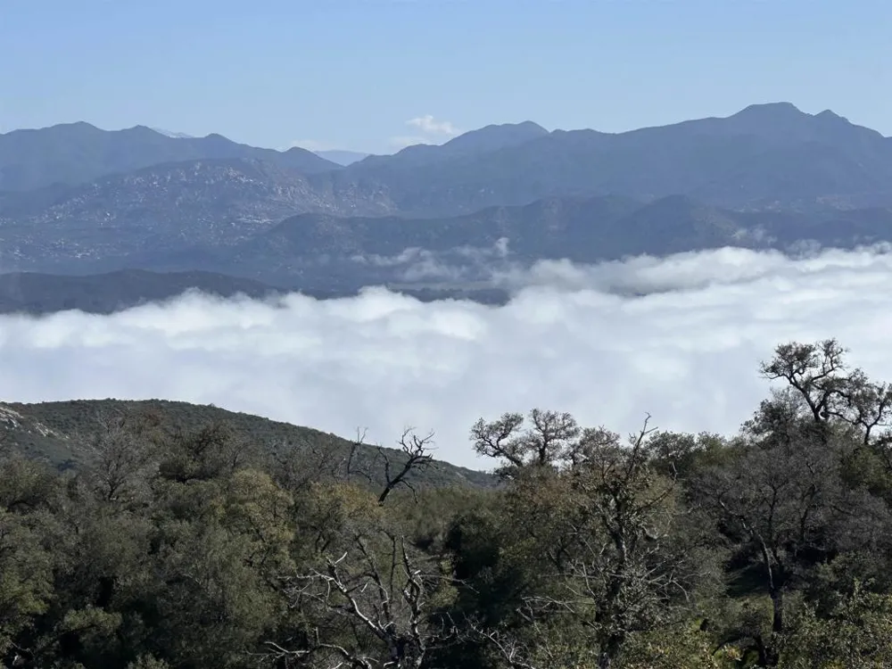 25770 E GRADE ROAD Santa Ysabel, CA 92070