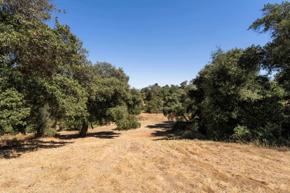 25770 E GRADE ROAD Santa Ysabel, CA 92070