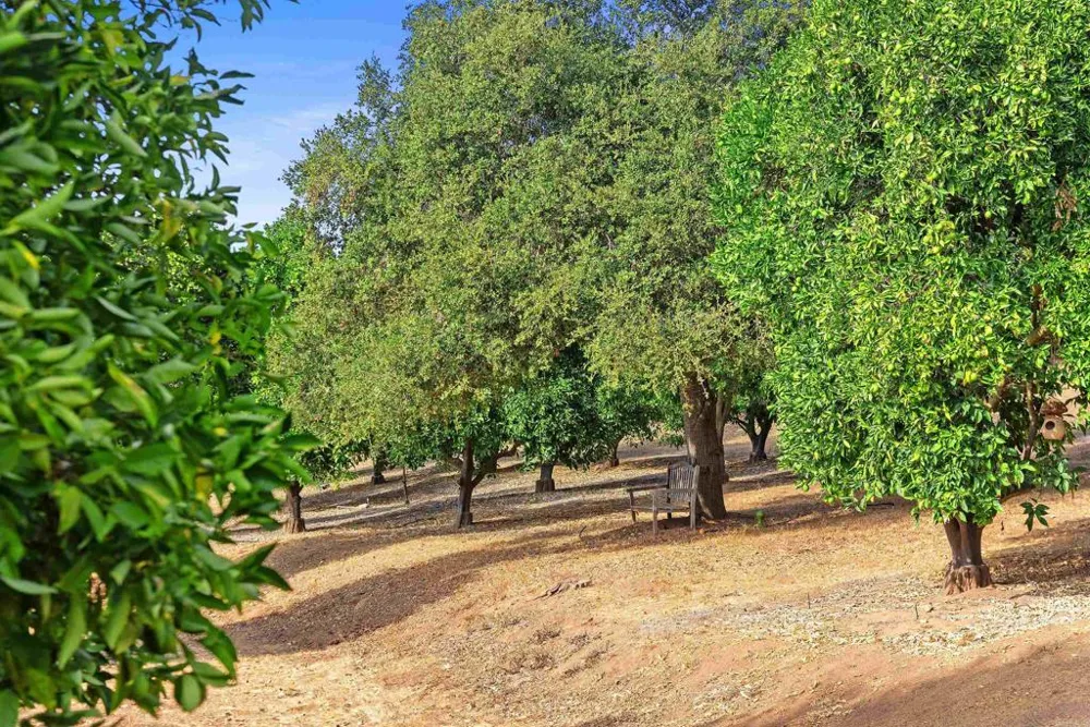 12711 Big Bend Way Valley Center, CA 92082