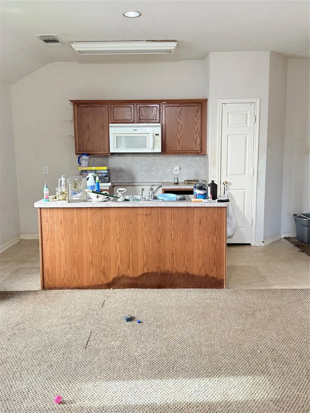 323 Annatto Lane Crosby, TX 77532