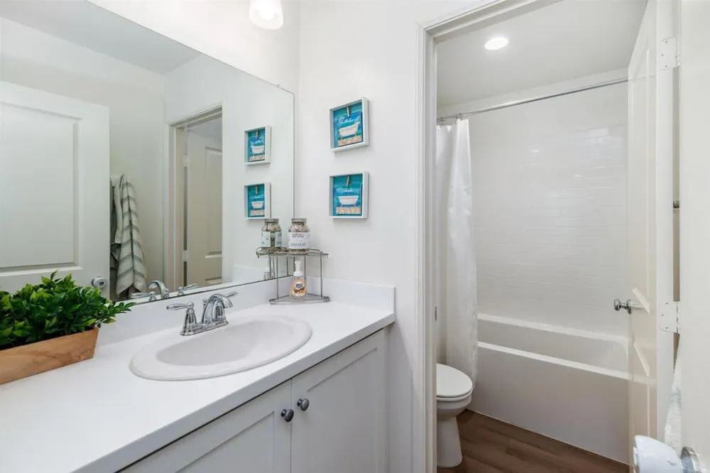 203 Silver Fir Court Vista, CA 92083