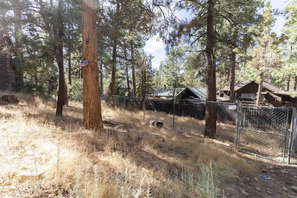 131 E Aeroplane Boulevard Big Bear City, CA 92314