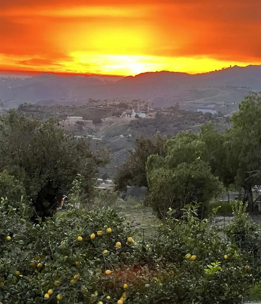 5741 Rainbow Heights Road Fallbrook, CA 92028