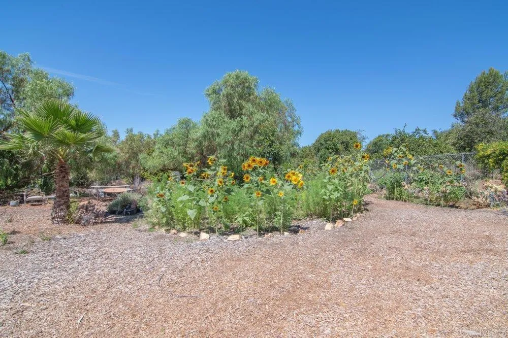 5741 Rainbow Heights Road Fallbrook, CA 92028