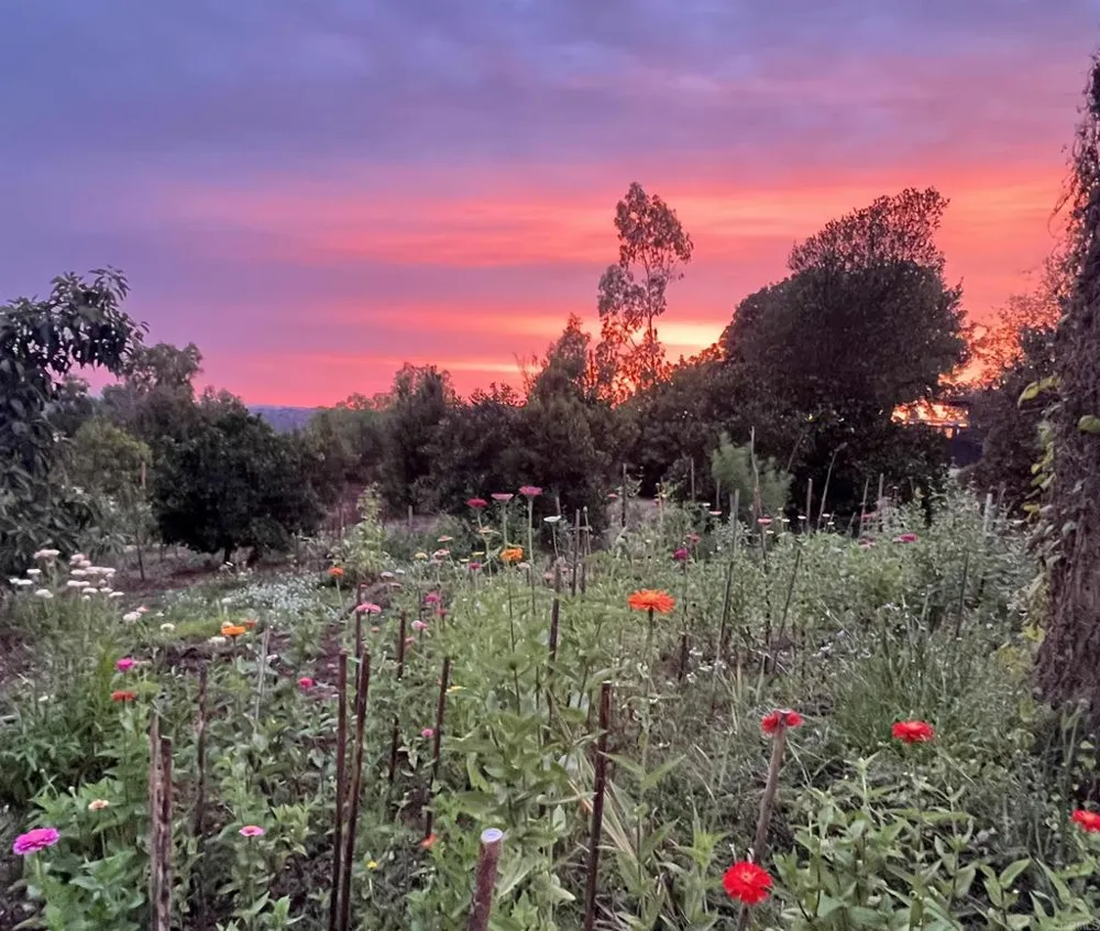 5741 Rainbow Heights Road Fallbrook, CA 92028