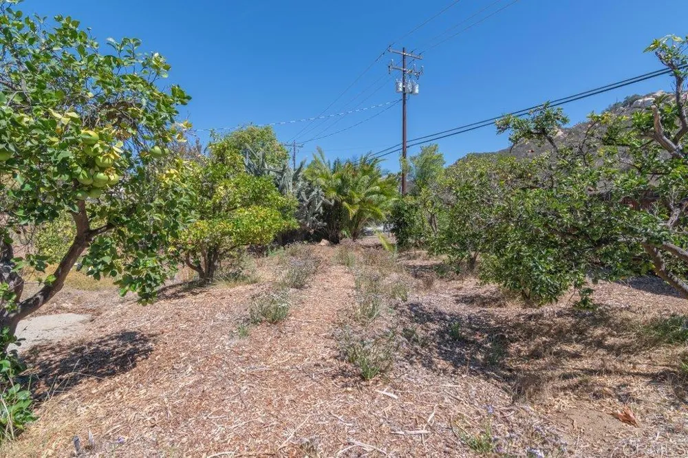 5741 Rainbow Heights Road Fallbrook, CA 92028