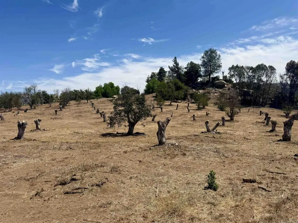 Canyon Heights Road Fallbrook, CA 92028