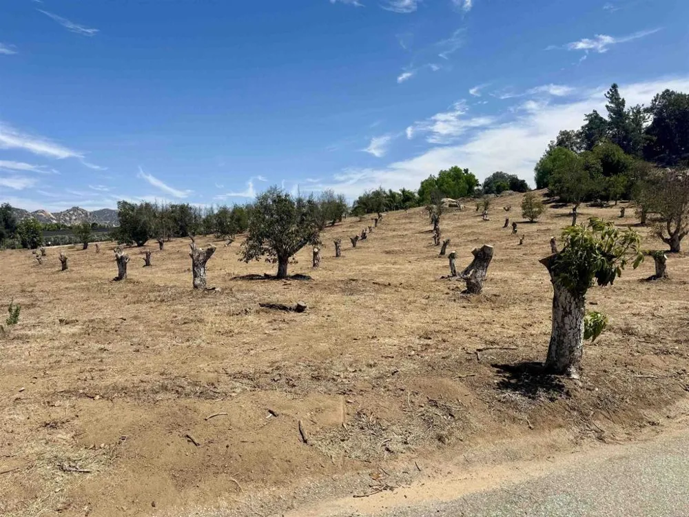 Canyon Heights Road Fallbrook, CA 92028