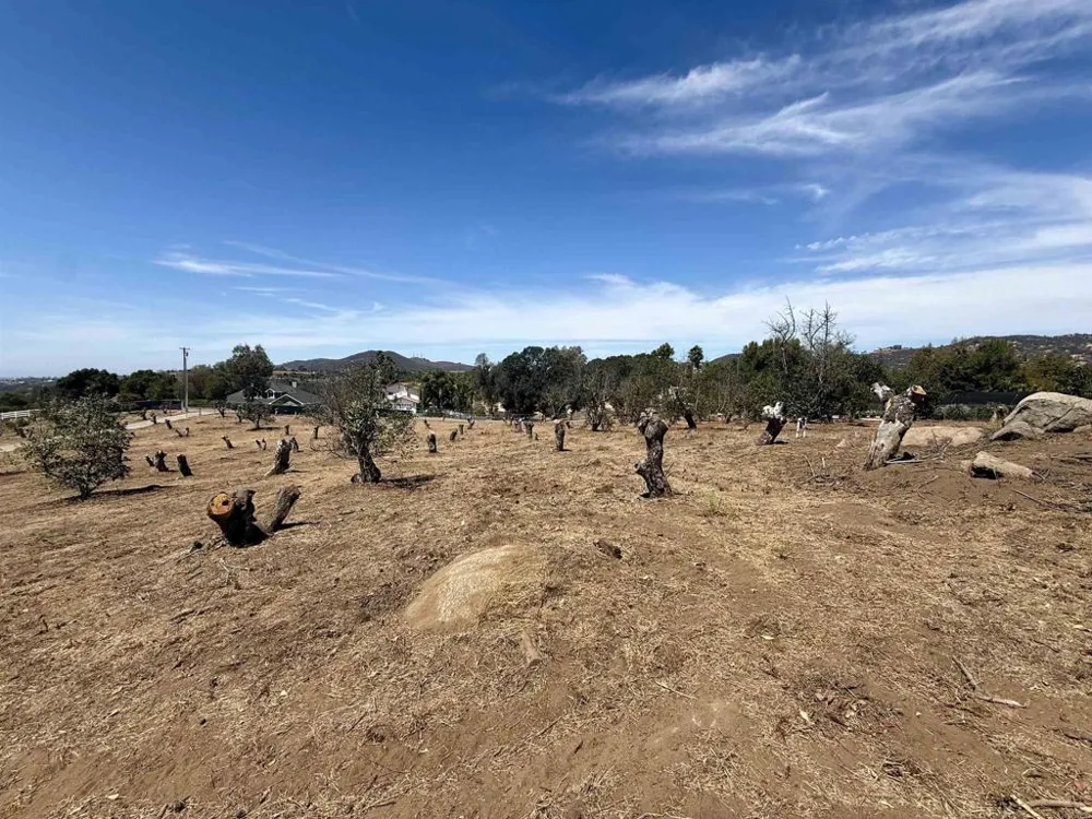 Canyon Heights Road Fallbrook, CA 92028