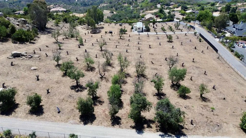 Canyon Heights Road Fallbrook, CA 92028