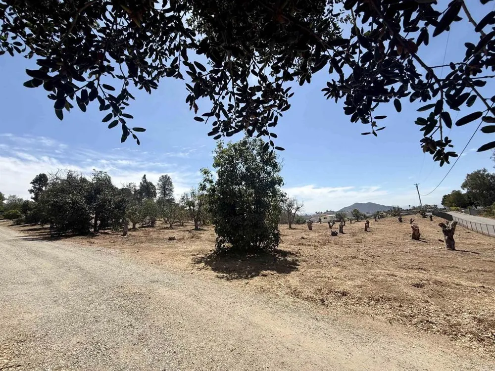 Canyon Heights Road Fallbrook, CA 92028