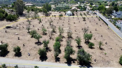 Canyon Heights Road