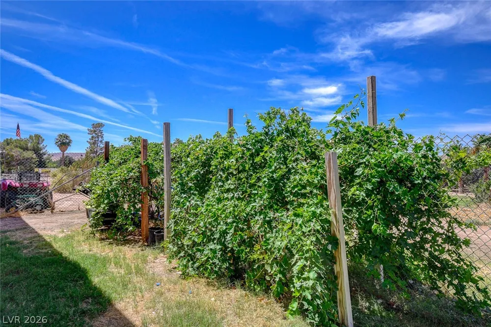 1920 Bowman Road Logandale, NV 89021