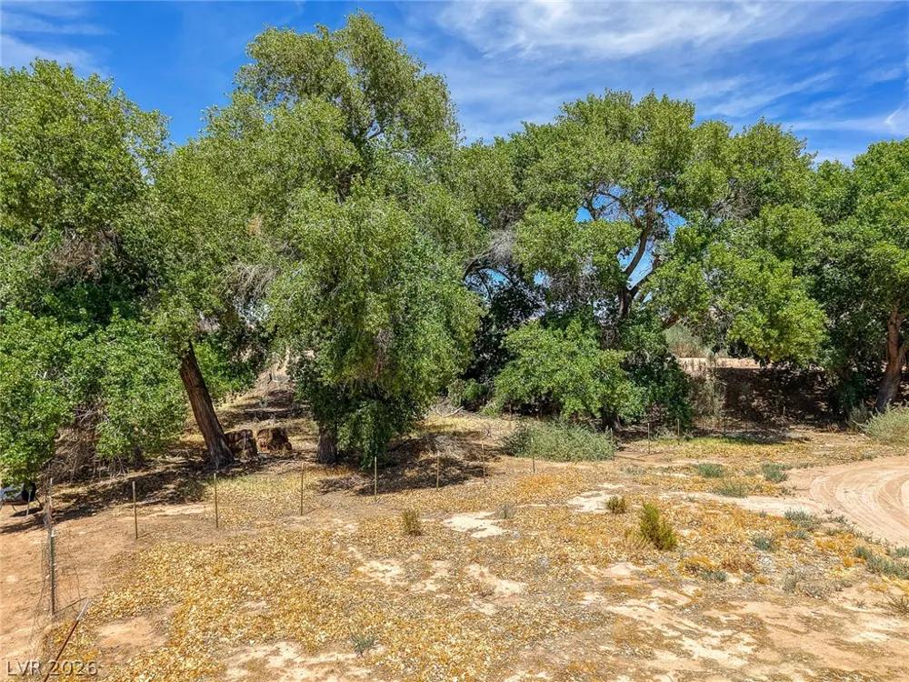 1920 Bowman Road Logandale, NV 89021