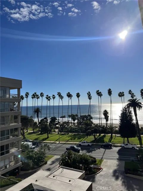 515 Ocean Avenue #706N