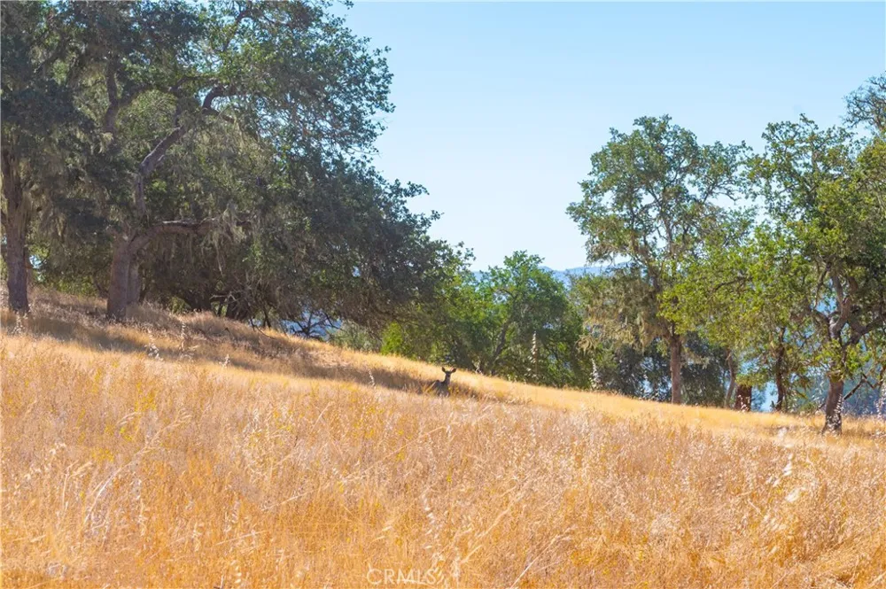 Tierra Redondo Paso Robles, CA 93446
