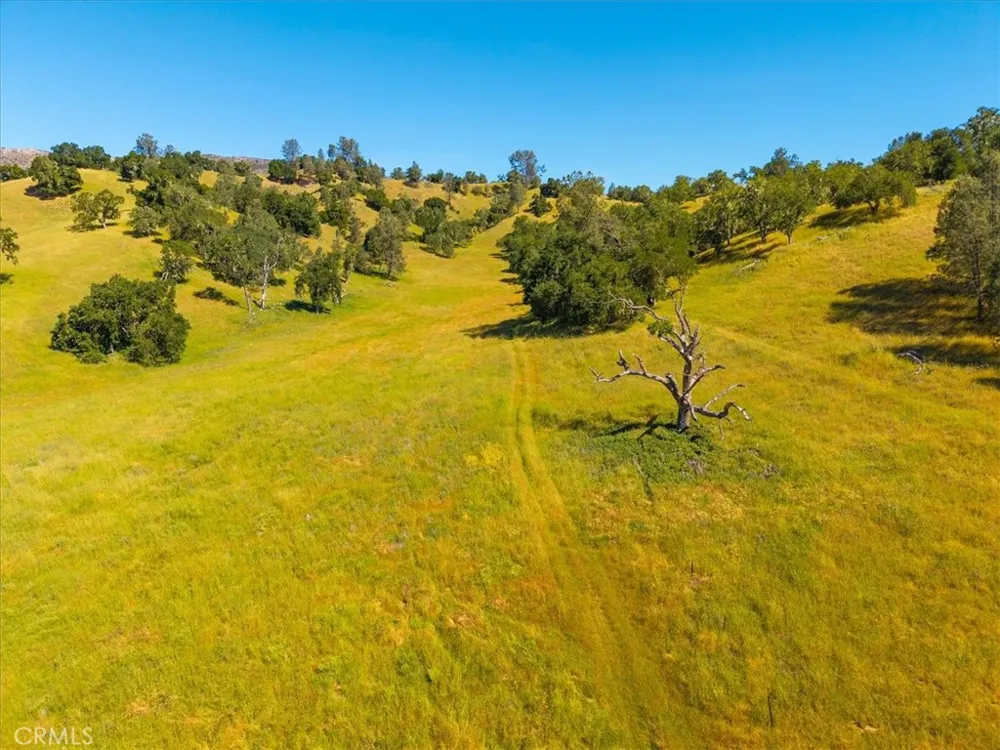 Tierra Redondo Paso Robles, CA 93446