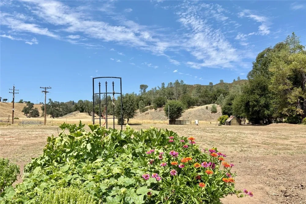 49460 Sapaque Road Bradley, CA 93426