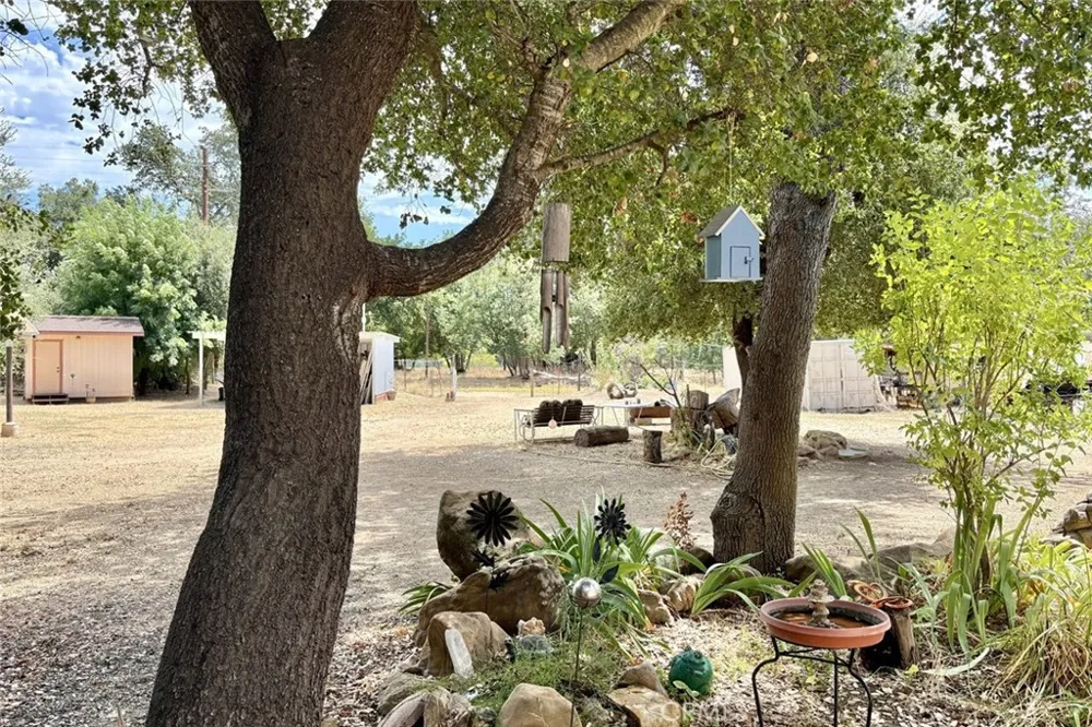 49460 Sapaque Road Bradley, CA 93426