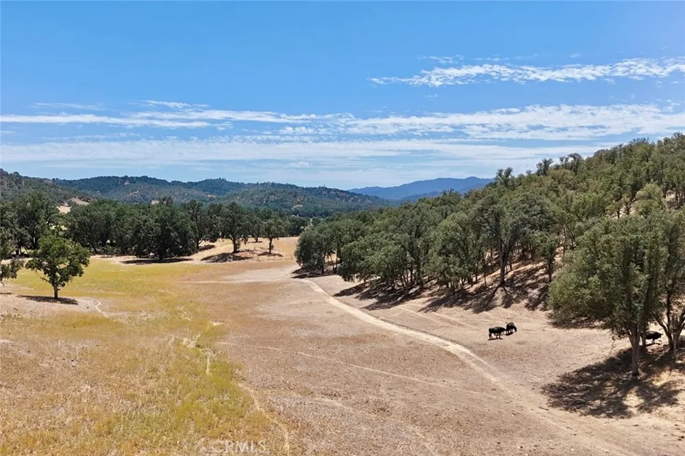 49460 Sapaque Road Bradley, CA 93426