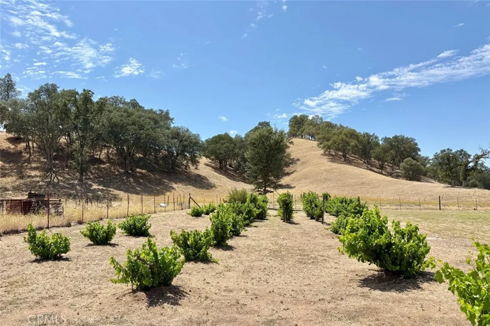 49460 Sapaque Road Bradley, CA 93426